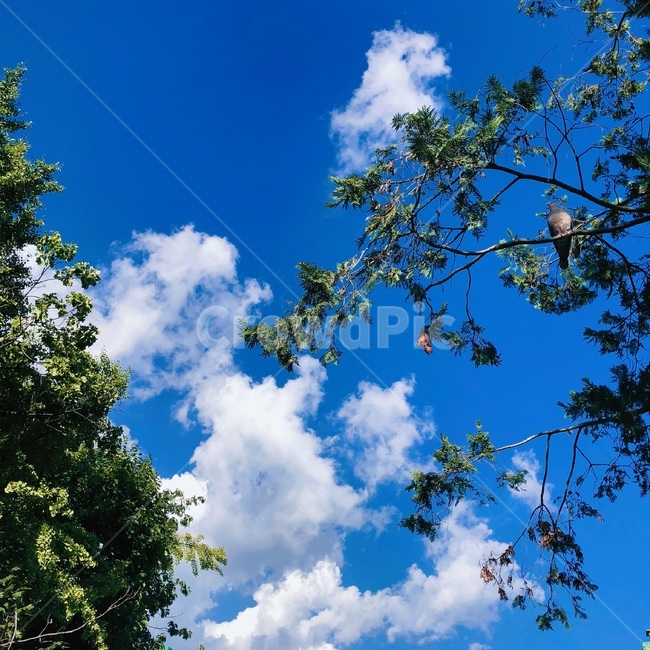 nature,자연,azuresky,푸른하늘,sky,하늘,outdoors,옥외,맑은