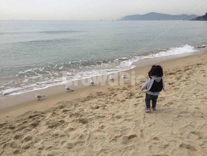 겨울바다,뒷모습,파도,갈매기,부산바다