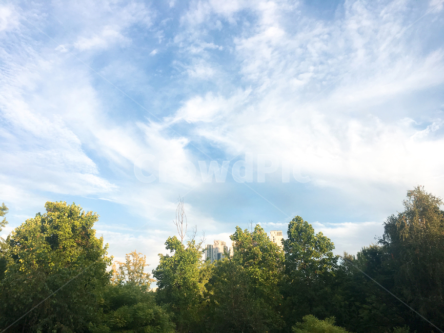 하늘,sky,구름,cloud,여름,summer,서울숲,초록,green,outdoors,옥외,nature,자연