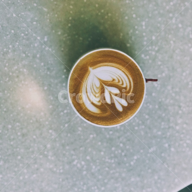 커피,라떼아트,아트,카페라떼,coffee,latteart,커피,카페,coffee,cafe