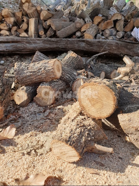 firewood,장작,땔감,겨울,tree,wood,나무,lumber,재목,식물,자연,plants,nature,나무,trees,wood