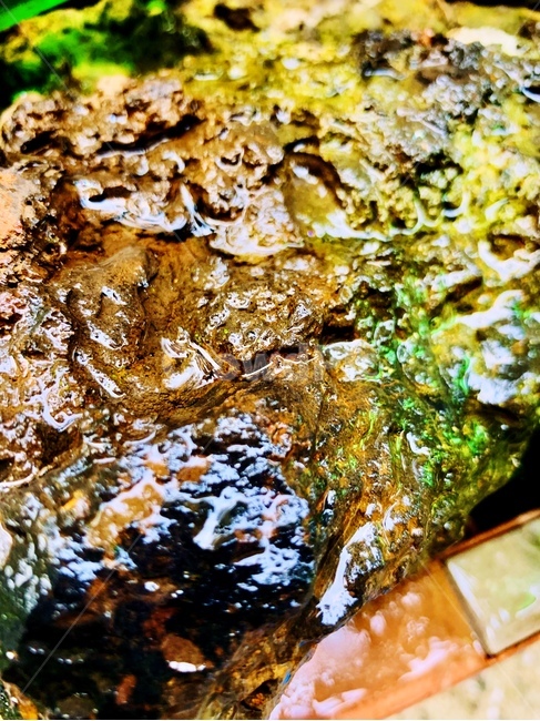 돌,물,stone,water,색감,자연,감성