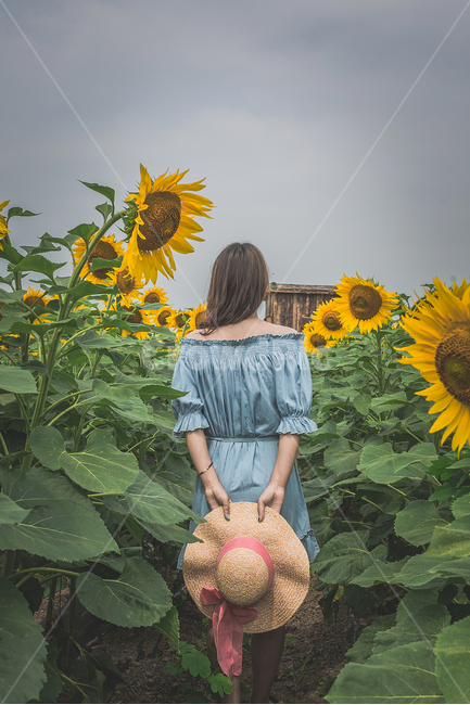 해바라기,모자,여성모델,뒷모습,인물,감성,식물,자연,plants,nature,꽃,flower,사람,인물,인간,human,person,여성,여자,woman,female,lady,여행,휴가,traveling,vacation,trip,감성,sensible,feeling