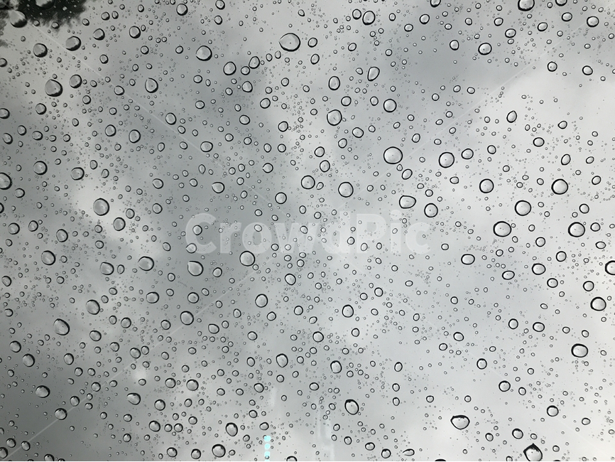 비,소나기,풍경,여름,창문,분위기,비,비오는날,rain,rainy