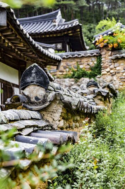 기와,군자마을,고택,전통가옥,한옥,구옥,문화유산,국민관광지,관광명소,전통담벼락