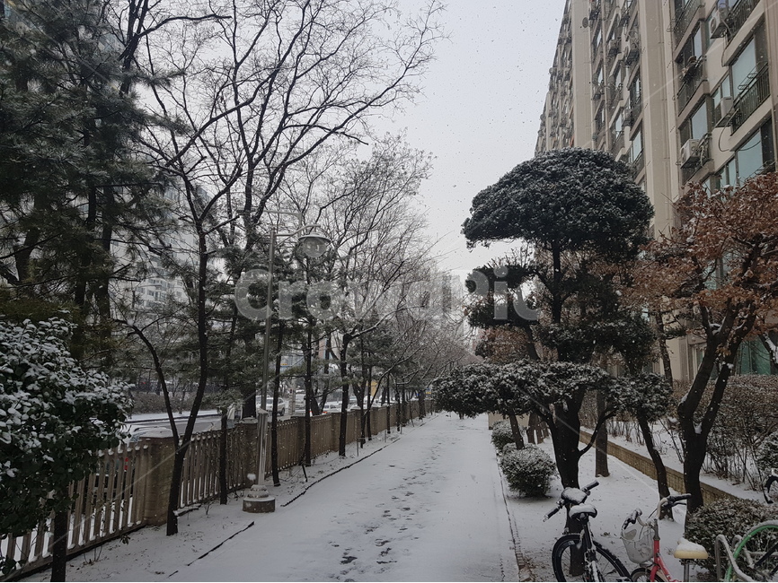 폭설,눈,눈길,함박눈,빙판길,자연풍경,하늘사진,바다풍경,도시풍경,풍경사진,감성사진,일상풍경,하늘감성,바다감성,구름사진,노을사진,푸른하늘,바다뷰,도시스냅,건물사진,건축사진,풍경스타그램,감성스타그램,사진기록,여행감성,힐링풍경,자연사진,풍경기록,일상사진,하늘구름,도시감성,바다하늘,뷰맛집,감성풍경,겨울,계절,winter,season