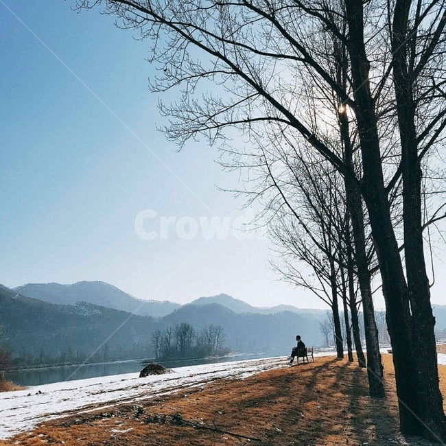 겨울,나무,사람,산,눈,겨울,계절,winter,season,자연,풍경,nature,landscape,tree,plant,식물