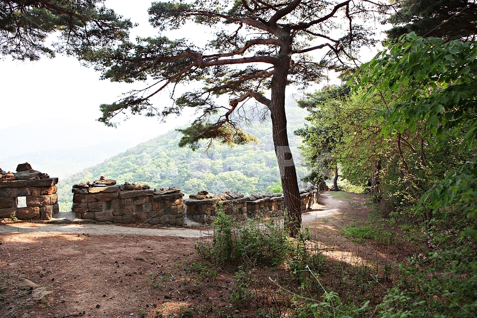 성,전등사,전등사성곽,돌담,숲길,자연,배경,풍경