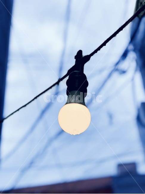 전구,빛,불빛,전선,파란색,blue,사물,물건,오브젝트,thing,object,matter