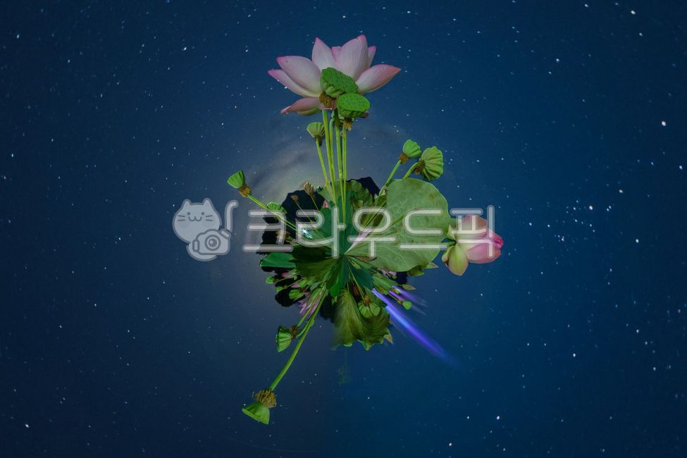 panorama,circular,round,earth,planet,fisheye,effect,filter,landscape,planet,circular,night,lotus,nature,outdoor,outdoor,360panorama,circular,round,earth,planet,fisheye