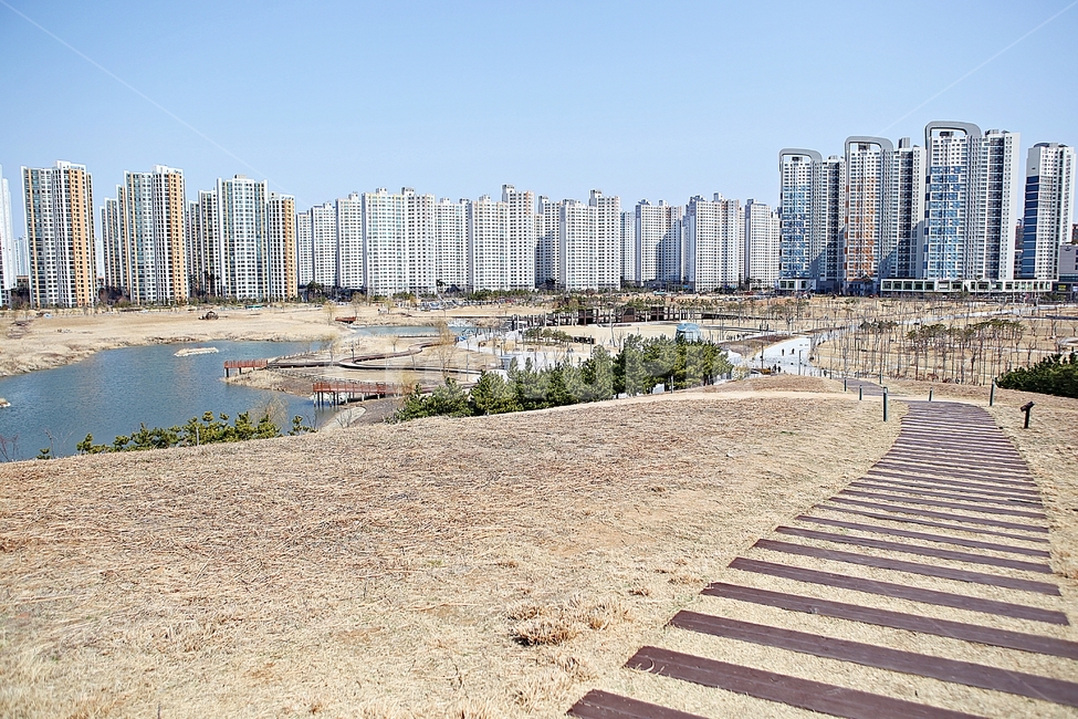 아파트,집,다세대주택,건물,건축물,자연,풍경