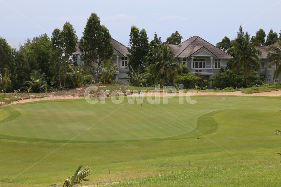 field,들,golfcourse,골프코스,골프,그린,golf,green,자연,nature