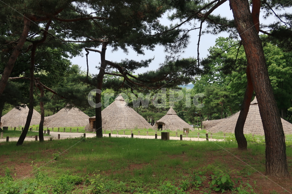 암사동,선사,유적지,움집,유적,시대,집터,빗살무늬토기,움집터,반지하,가옥,건축물,건물외관,exterior,building,structure,architecture,construction