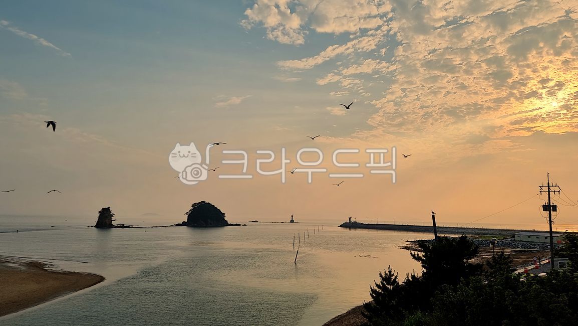 꽃지,안면도,갈매기,바다,노을,sunset,저녁,석양,outdoors,자연,nature,sea,bird,동물,animal,새,물,대양,water,풍경