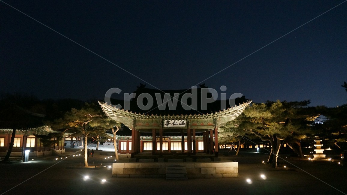 창경궁,고궁,경복궁,야간개장,궁,야경,밤,풍경,nightscape,night,landscape,한국전통,한국문화,korean traditional,korean culture,랜드마크,landmark,tourist attraction,한국랜드마크,한국관광지,한국명소,korea landmark,korea tourist attraction,건축물,건물외관,exterior,building,structure,architecture,construction,건물,shrine,신사,pagoda,탑,worship,예배