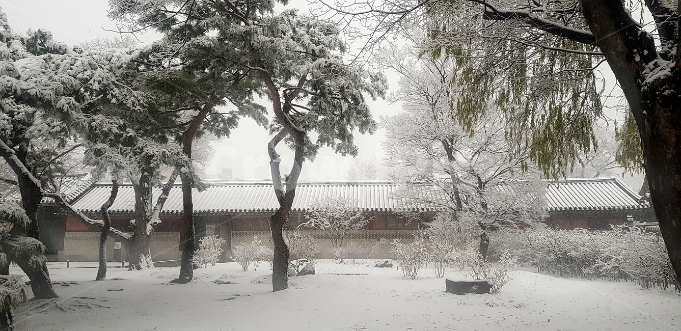 창덕궁,설경,첫눈,서설,고궁,palace,firstsnow,changdeokgungpalace,겨울,계절,winter,season,한국전통,한국문화,korean traditional,korean culture,건축물,건물외관,exterior,building,structure,architecture,construction
