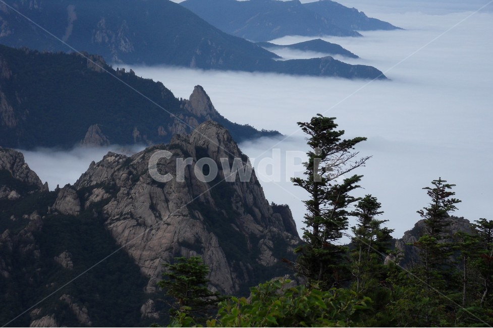 설악산,운해,바위,산,풍경,자연,풍경,nature,landscape,한국자연풍경,한국자연경관,korea nature landscape,slope,경사,mountain range,산맥,mountain,outdoors,옥외,tree,나무,plant,식물,fir,전나무,abies,아비
