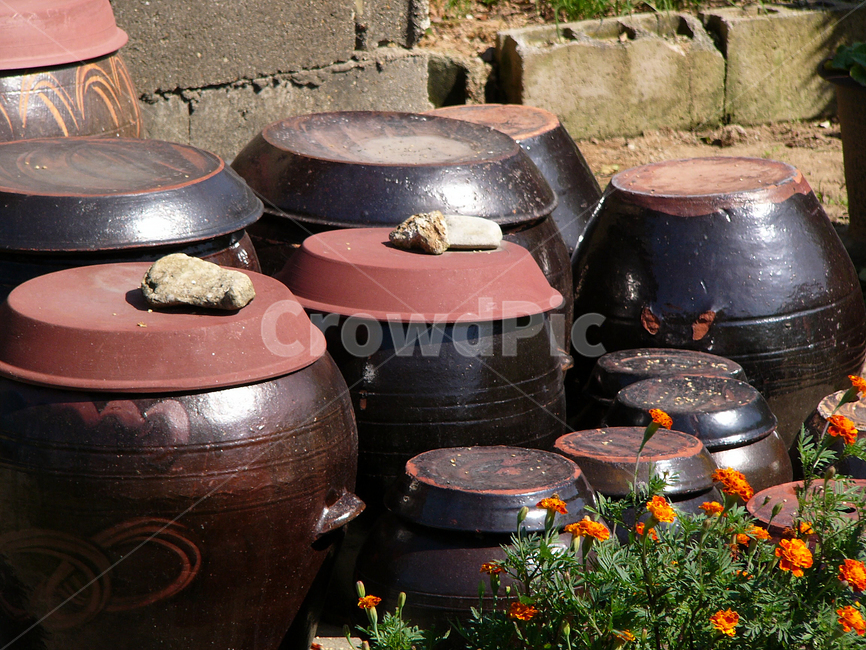 장독대,항아리,발효,된장담그기,고추장담그기,시골집,한국전통,한국문화,korean traditional,korean culture