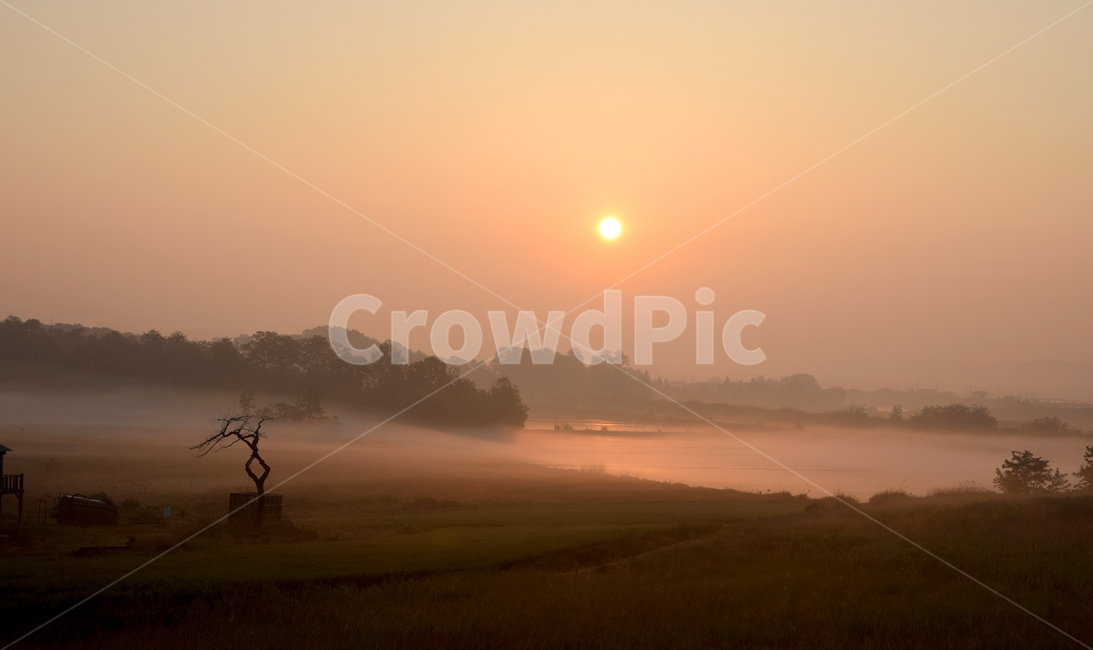 해,태양,일출,동틀녁,안개,물안개,sun,sunrise,fog,자연,풍경,nature,landscape,outdoors,옥외,weather,날씨