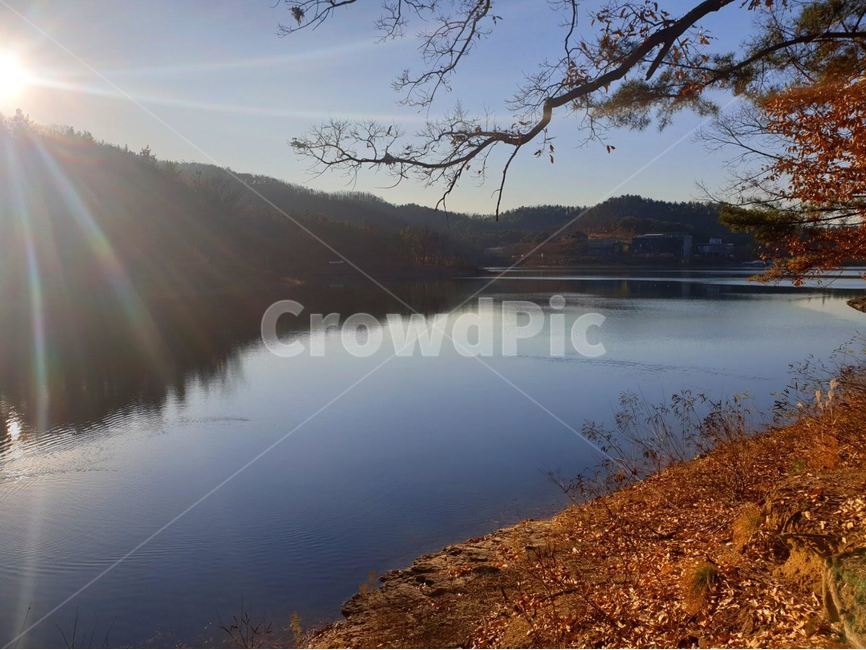 nature,자연,물,water,light,빛,flare,플레어,저수지,가을