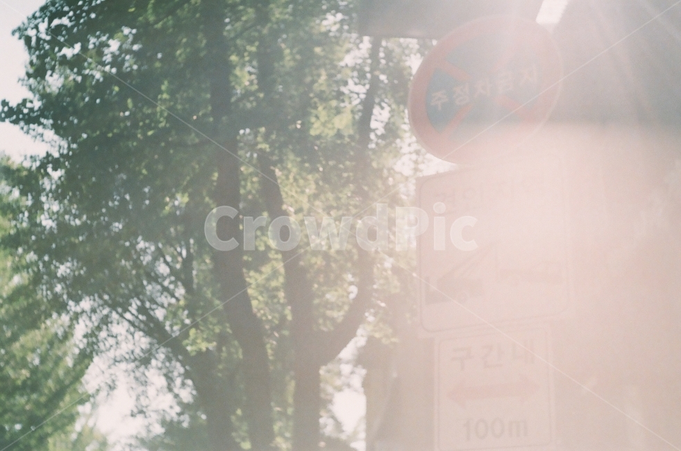햇빛,따스함,나무,가을,표지판,휴식,힐링,rest,relaxation,healing,교통,교통수단,traffic,transportation,nature,자연,weather,날씨,outdoors,옥외