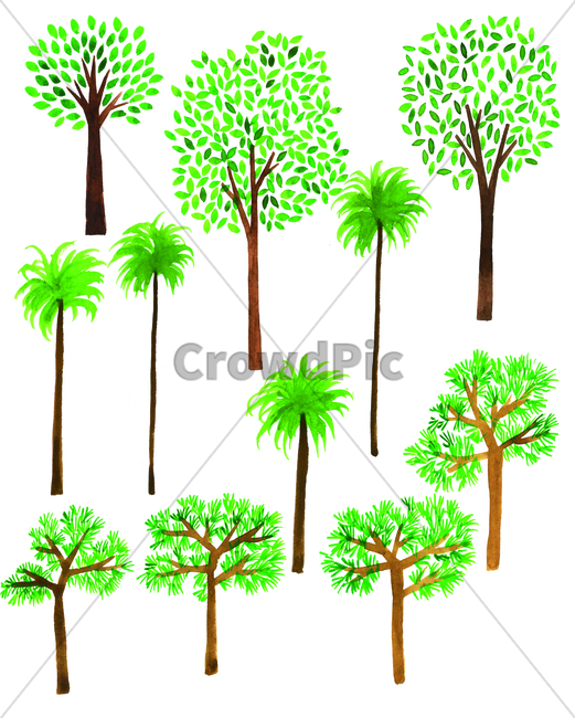 나무,tree,weed,손그림,handdrawing,watercolor,소나무,pinetree,pine,palmtree,plant,식물,야자수