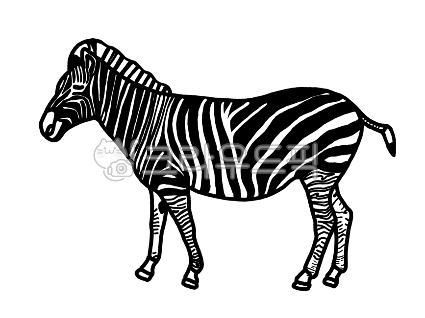 얼룩말,얼룩말일러스트,얼룩말색칠도안,얼룩말도안,얼룩말색칠공부,zebra,zebraillustraion,animal,mammal,포유동물,동물,동물일러스트,동물도안,동물색칠공부,동물색칠하기,색칠공부도안,동물색칠공부도안,그래픽,일러스트레이션,graphic,illustration