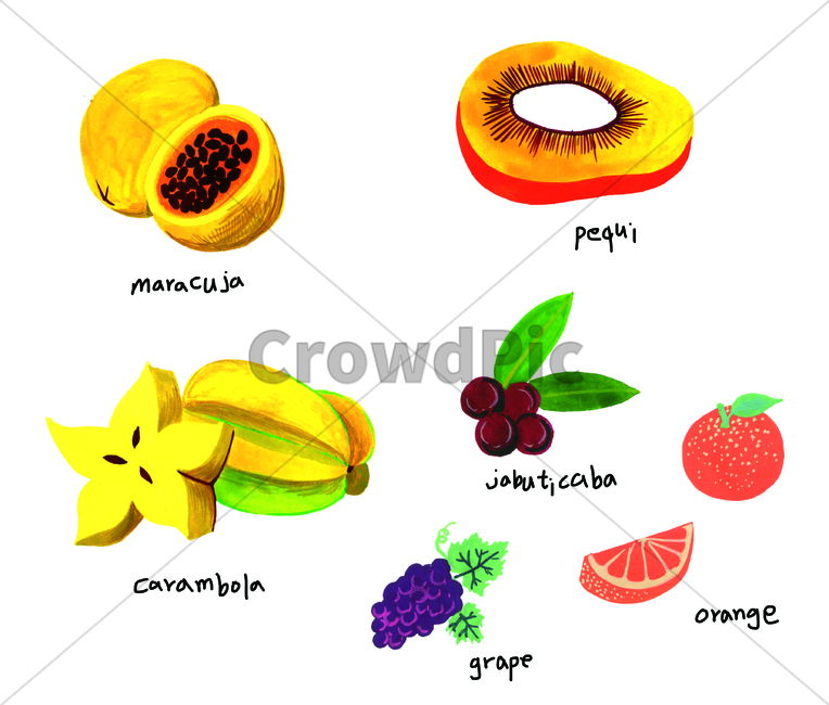 손그림,물감그림,watercolor,handdrawing,오렌지,orange,음식,food,과일,fruit,maracuja,마라쿠자,pequi,페키,carambola,카람보라,jabuticaba,자보티카바,포도,grape