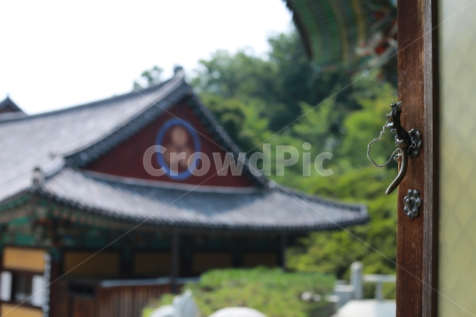 사찰,절,불교,문고리,법당,사찰풍경,경치,temple,knocker,landscape,자연,nature