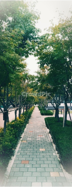 산책,아침,블럭,길,나무,초록,자연,풍경,nature,landscape,tree,plant,식물,garden,정원,arbour,정자,outdoors,옥외