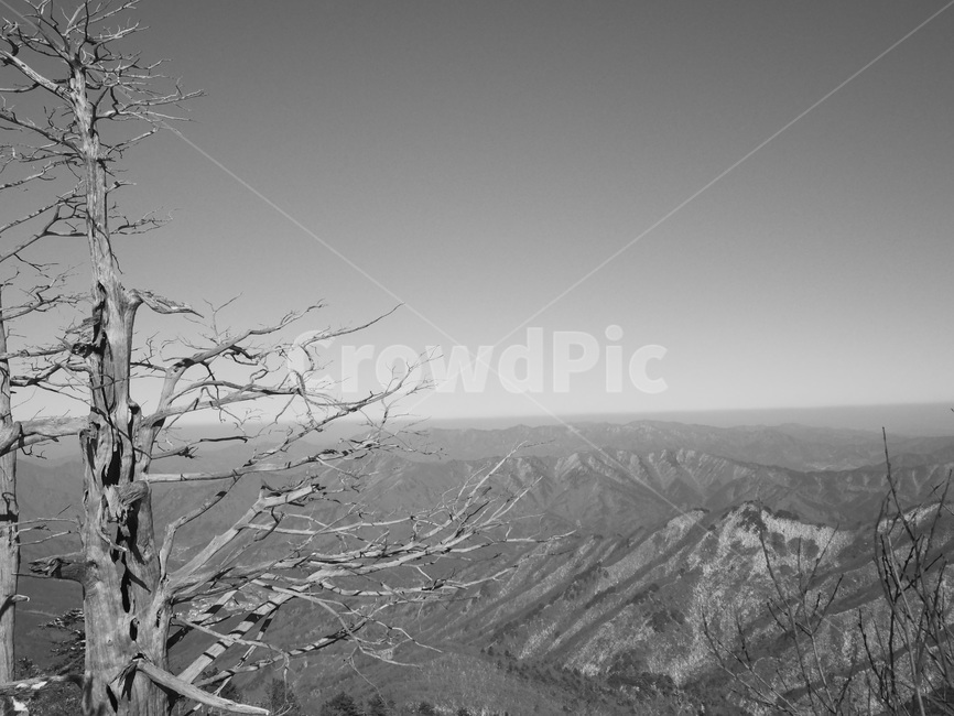 겨울산,겨울,눈,눈꽃,덕유산,무주,풍경,겨울,계절,winter,season,자연,풍경,nature,landscape,한국자연풍경,한국자연경관,korea nature landscape,흑백,모노톤,monochrome,black and white,outdoors,옥외