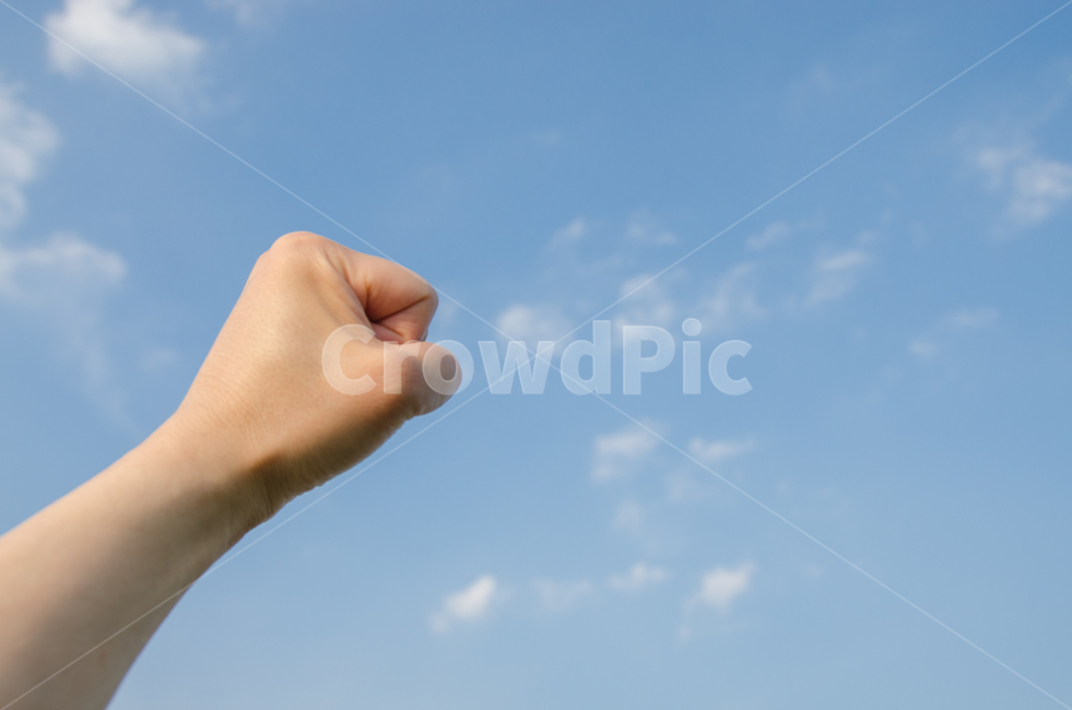 손,주먹,화이팅,하늘,자신감,힘,컨셉,파이팅,힘찬,단결,투쟁,푸른,구름,희망,인간,남성,남자,혁명,성공,승리,노동자,신체일부,몸,body