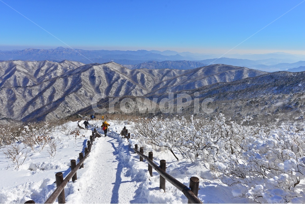 human,인간,person,사람,slope,경사,nature,자연,outdoors,옥외,tree,나무,plant,식물,전나무,fir,경치,경관,풍경,무주,덕유산,덕유산설경,설경,겨울,계절,상고대,향적봉,설천봉,중봉