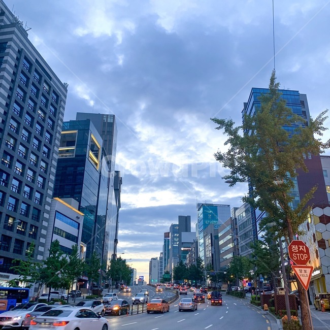 건물,도시,야경,도로,도심