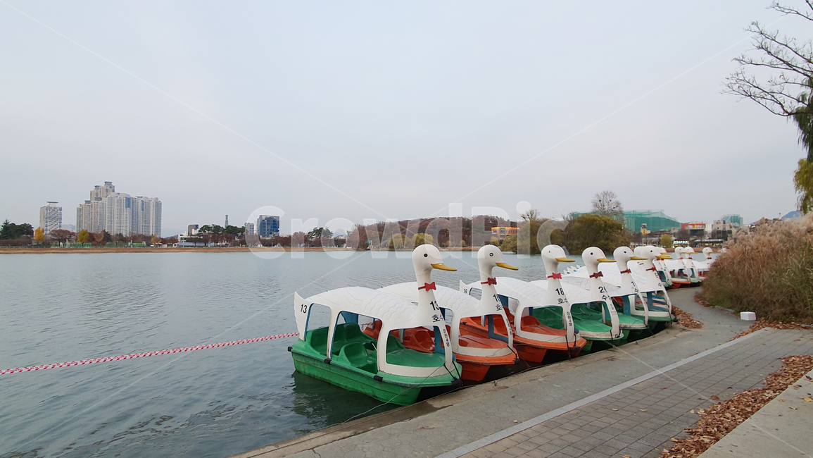 vessel,watercraft,선박,오리배,수성못,하늘,자연,도시,풍경,보트,옥외