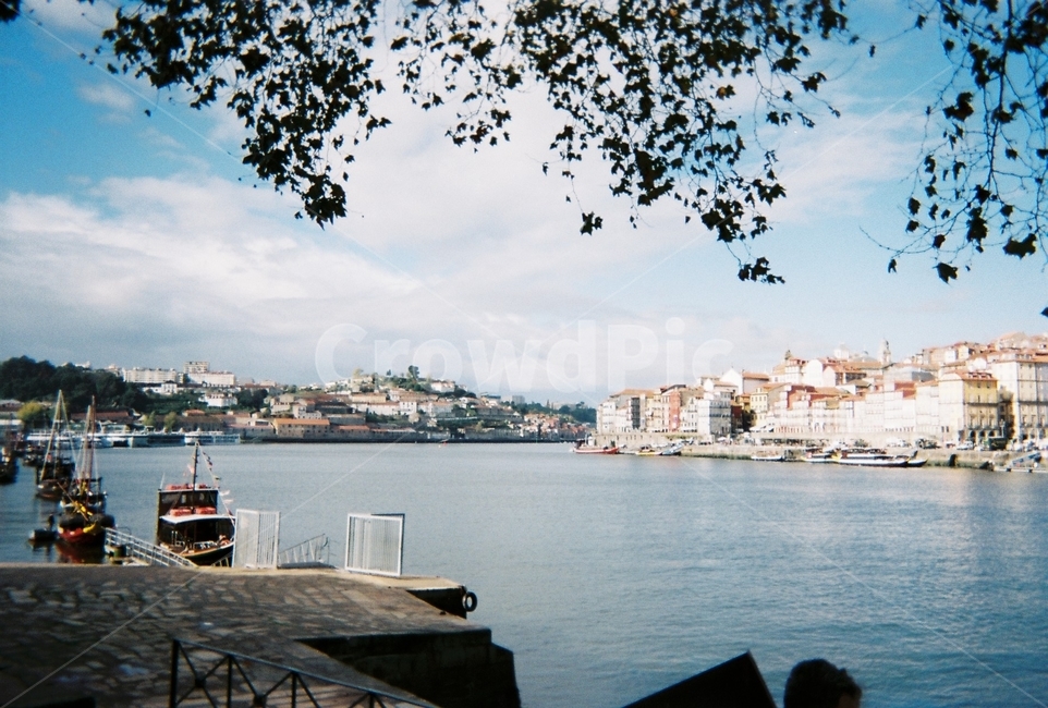 포르투,porto,강가풍경,나뭇가지,배,강,유럽,필름카메라,riverview,river,filmcamera,포르투갈,portugal,europe,도시,풍경,city,landscape,해외,외국,세계,foreign,oversea,world,세계도시풍경,해외도시풍경,외국도시풍경,world cityscape,water,물,transportation,교통,vehicle,차량,boat,보트,waterfront,워터 프론트