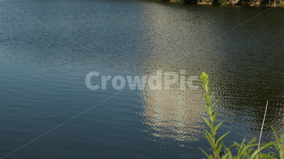 water,물,outdoors,옥외,nature,자연,물가,저수지,그림자,풀,파랑,푸른빛
