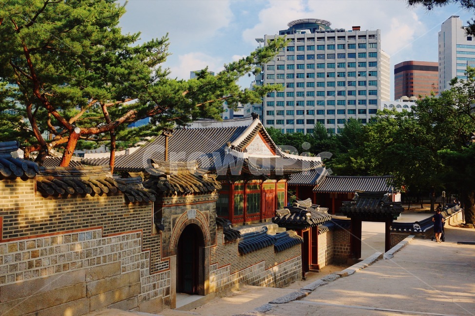 한옥,전통,빌딩,현대,궁궐,경복궁,궁,조선,하늘,구름,해질녘,기와,벽화,벽돌,문,건축,건물,소나무