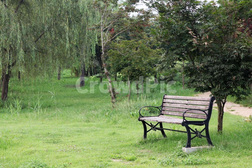 녹색,의자,휴식,공원,자라섬,나무,tree