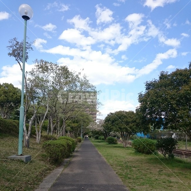 산책,하늘,asphalt,공원산책,전봇대