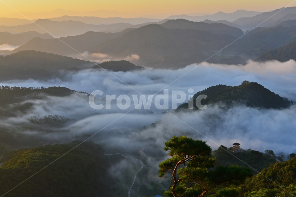 nature,자연,outdoors,임실,국사봉,운해,국사봉일출,아침,여명,해돋이,경치,경관,풍경,옥외,mountain,산,mountainrange,산맥,dawn,새벽,sky,하늘,redsky,붉은하늘,light,빛,flare,플레어,소나무,자연,풍경,nature,landscape,한국자연풍경,한국자연경관,korea nature landscape