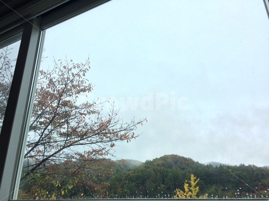 풍경,나무,집에서,하늘,단풍,fall,windowsview,korea,home,mountain,leave,산,가을,창밖,힐링
