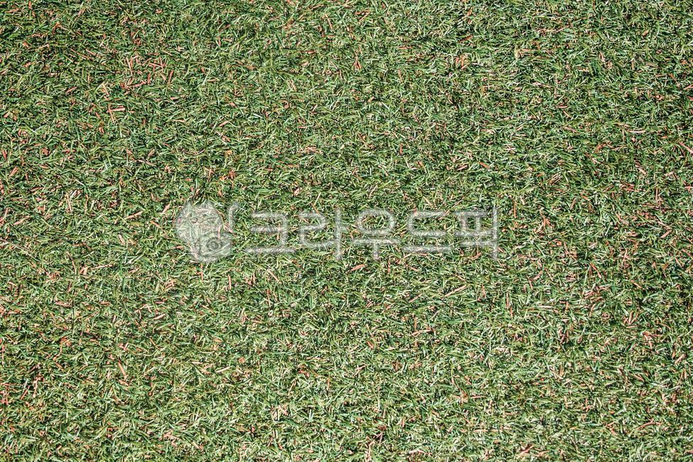 green grass,green,nature,texture,natural grass,artificial turf,spring,golf,grass pattern,blue,field,grass,background,grass background,lawn