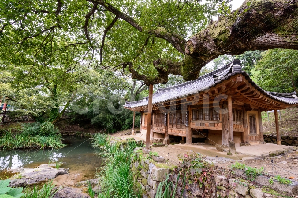 문화재,남간정사,한옥,전통한옥,고목,자연,풍경,nature,landscape,랜드마크,landmark,tourist attraction,한국전통,한국문화,korean traditional,korean culture,outdoors,옥외