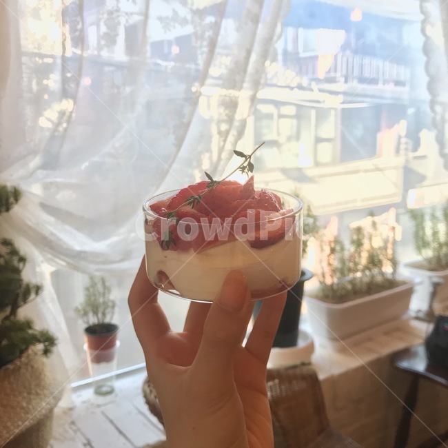 cream,디저트,dessert,크림,음식,케이크,딸기케이크,티라미수,딸기,딸기티라미수