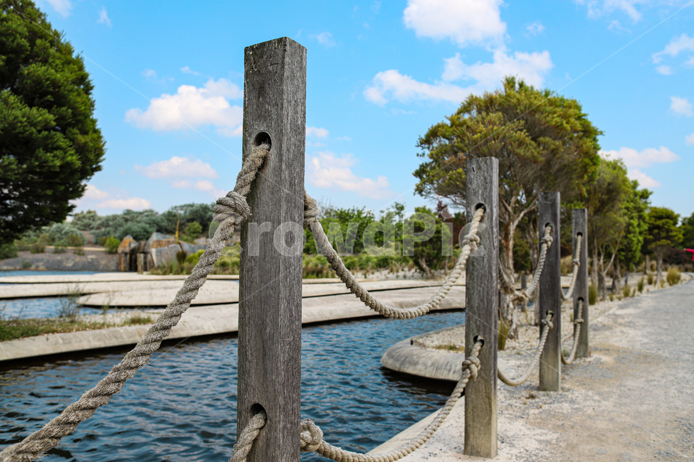 물,water,tree,나무,자연,풍경,하늘
