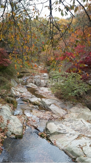 계곡,산,가을,풍경,단풍,autumn,scenery,가을,계절,fall,autumn,season,leaf,잎,plant,식물