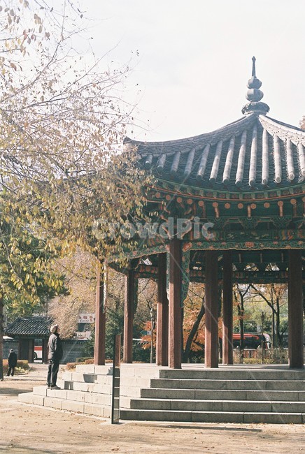 파고다공원,탑골공원,종로,전통,정자,가을,쓸쓸한,서울,공원,외로운,autumn,fall,seoul,가을,계절,fall,autumn,season,한국전통,한국문화,korean traditional,korean culture