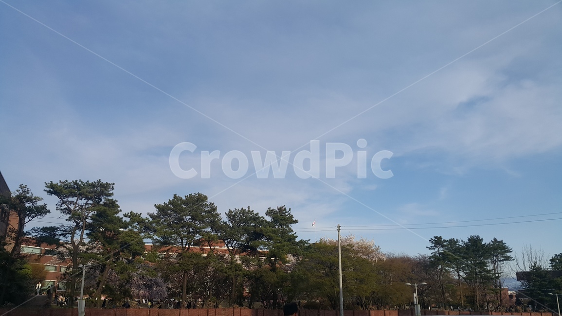 하늘,맑은날,파란하늘,풍경,배경