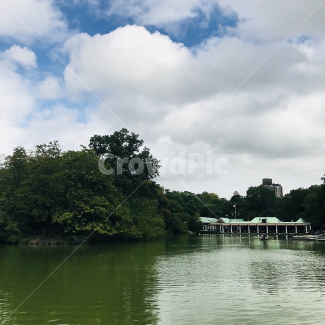 뉴욕,센트럴파크,공원,구름,하늘,잔디,나무,newyork,centralpark,park,cloud,sky,grass,tree